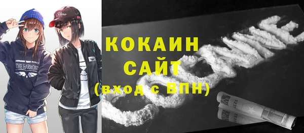 мескалин Ельня