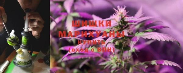мескалин Ельня