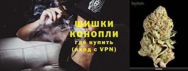мескалин Ельня
