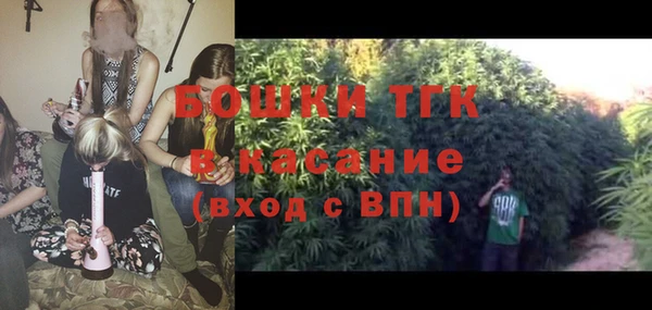 мескалин Ельня