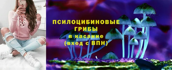 мескалин Ельня