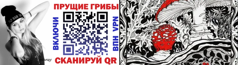 Купить закладки  Нея  Галлюциногенные грибы Psilocybe 